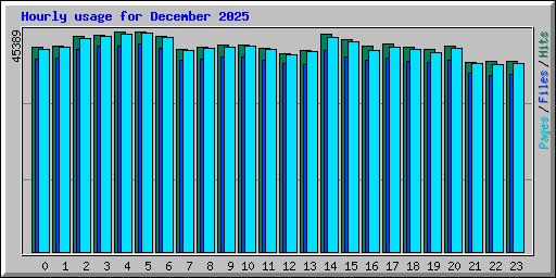 Hourly usage for December 2025
