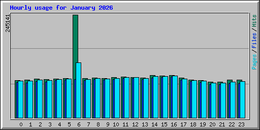 Hourly usage for January 2026